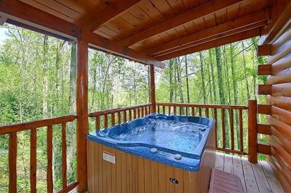Mountain Joy cabin - image 19