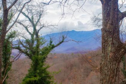 Four Bears Den - image 9