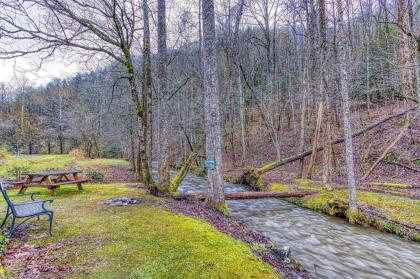 Black Bear Falls Gatlinburg