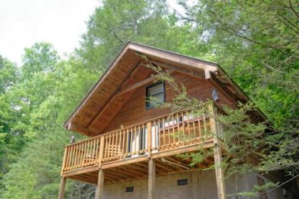 Wild Thing #1525 by Aunt Bug's Cabin Rentals