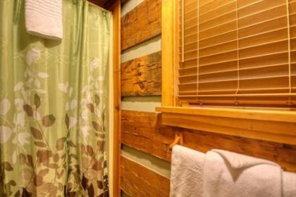 Parkside Party #1676 by Aunt Bug's Cabin Rentals - image 13