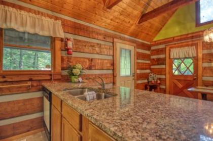 Parkside Party #1676 by Aunt Bug's Cabin Rentals - image 16