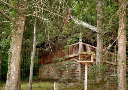 Parkside Party #1676 by Aunt Bug's Cabin Rentals - image 19