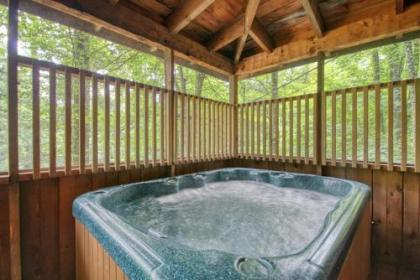 Parkside Party #1676 by Aunt Bug's Cabin Rentals - image 2
