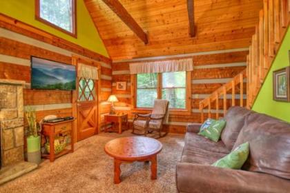 Parkside Party #1676 by Aunt Bug's Cabin Rentals - image 3