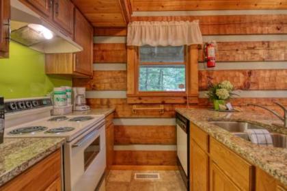 Parkside Party #1676 by Aunt Bug's Cabin Rentals - image 5