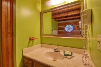 Parkside Party #1676 by Aunt Bug's Cabin Rentals - image 9
