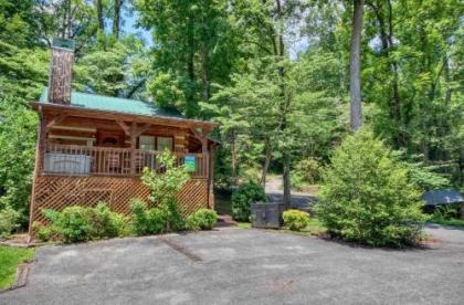 Cuddle Inn #1529 by Aunt Bug's Cabin Rentals - image 19