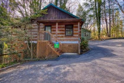 Linger Longer #1607 by Aunt Bug's Cabin Rentals