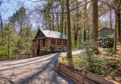Linger Longer #1607 by Aunt Bug's Cabin Rentals - image 7