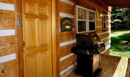 Angler'S Perch #2523 by Aunt Bug's Cabin Rentals - image 16