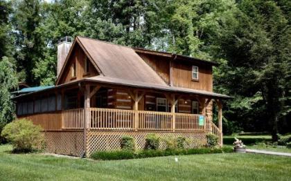 Angler'S Perch #2523 by Aunt Bug's Cabin Rentals - image 8