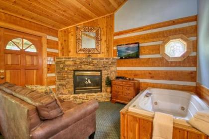 Dream Weaver #1527 by Aunt Bug's Cabin Rentals - image 3