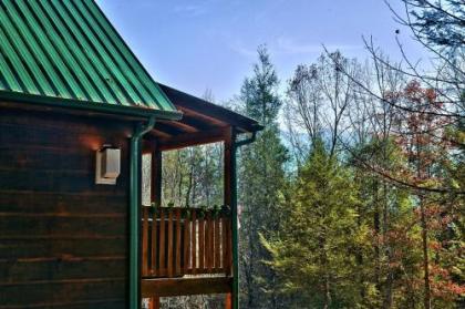 Always Misbehavin #1412 by Aunt Bug's Cabin Rentals - image 11