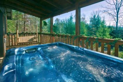 Always Misbehavin #1412 by Aunt Bug's Cabin Rentals - image 3