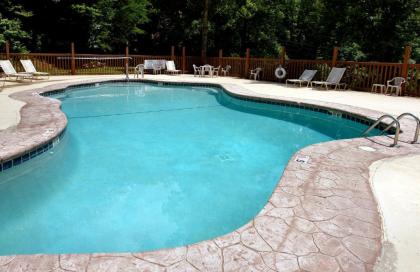 Splash Mansion #500 by Aunt Bug's Cabin Rentals - image 19