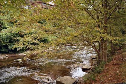 River Dream #466 by Aunt Bug's Cabin Rentals - image 15
