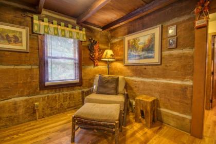 Bear Cabin #462 by Aunt Bug's Cabin Rentals - image 11