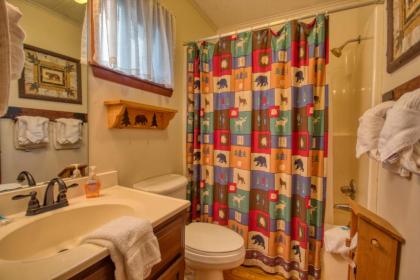 Bear Cabin #462 by Aunt Bug's Cabin Rentals - image 14