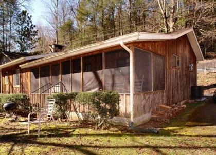 Bear Cabin #462 by Aunt Bug's Cabin Rentals - image 20