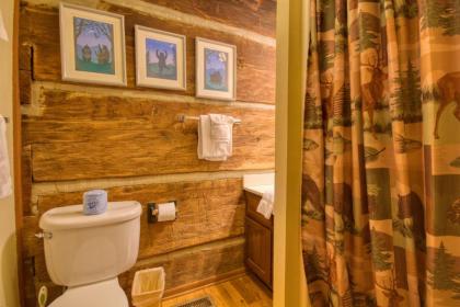 Bear Cabin #462 by Aunt Bug's Cabin Rentals - image 6