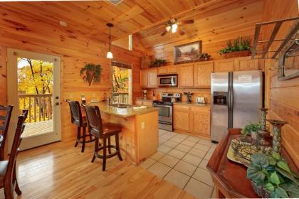 Emerald City Lights #203 by Aunt Bug's Cabin Rentals - image 14