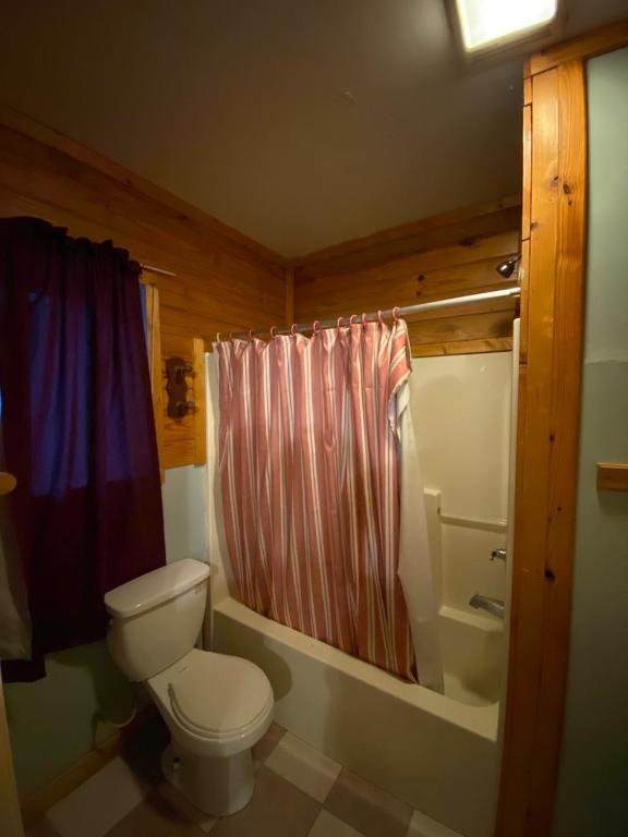 The Cave at Shady Woods - 1 Bedroom Studio - Walk to Downtown! - image 4