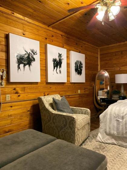 The Cave at Shady Woods - 1 Bedroom Studio - Walk to Downtown! - image 5