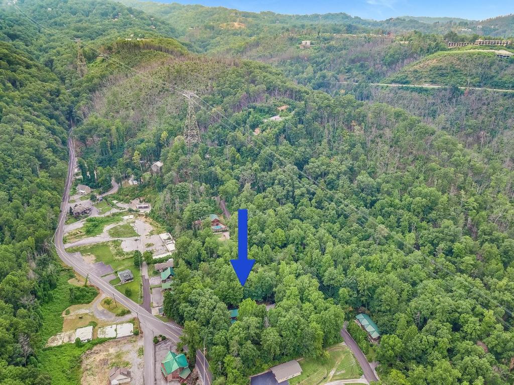 The Cave at Shady Woods - 1 Bedroom Studio - Walk to Downtown! - image 7
