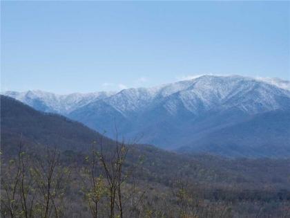 Mountain Treasure 2 BR Pool Access Hot Tub Sleeps 6 - image 14