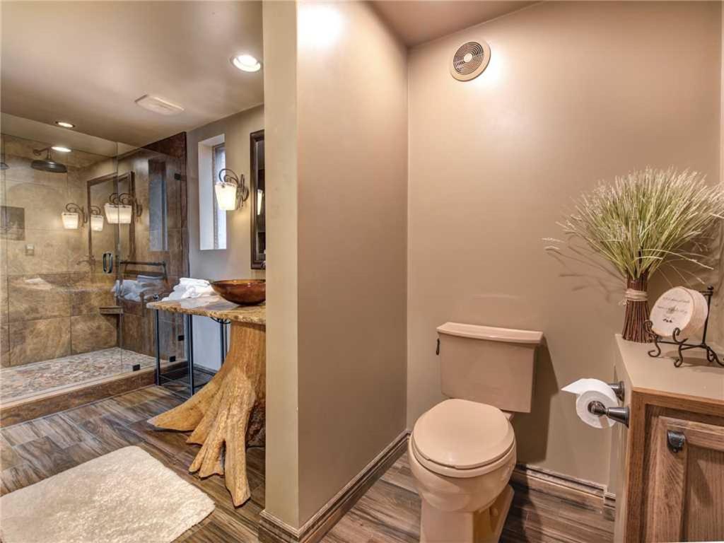 Mountain Rose 2 BR Pool Access Hot Tub Sleeps 6 - image 5