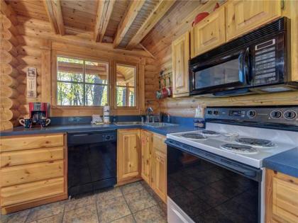Hibernation Station 2 BR Pool Access Hot Tub Fireplace Sleeps 4 - image 16