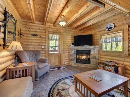 Hibernation Station 2 BR Pool Access Hot Tub Fireplace Sleeps 4 - image 6