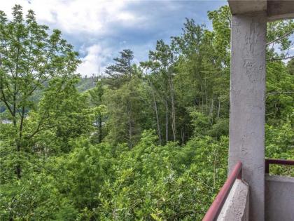 Our Mountain Home 2 Bedrooms Walk Downtown Pool Access WiFi Sleeps 4 - image 16