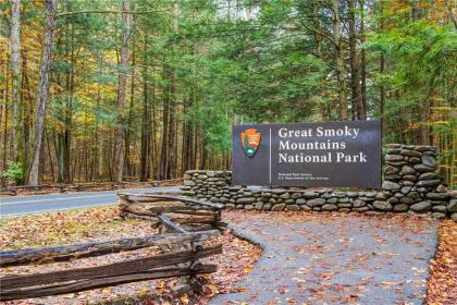 Our Mountain Home 2 Bedrooms Walk Downtown Pool Access WiFi Sleeps 4 - image 20