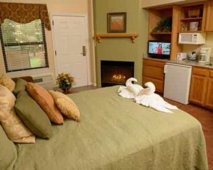 Serene and Scenic Resort Condominiums in Gatlinburg - image 12
