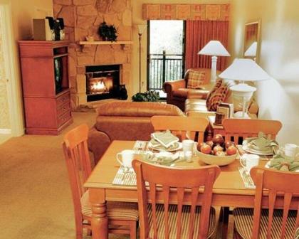 Serene and Scenic Resort Condominiums in Gatlinburg - image 5