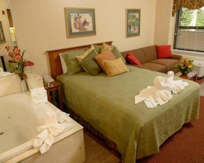 Serene and Scenic Resort Condominiums in Gatlinburg - image 8