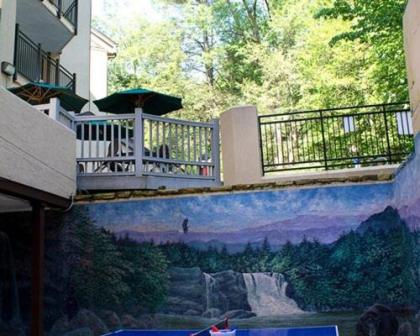 Serene and Scenic Resort Condominiums in Gatlinburg - image 9