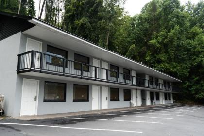 Gatlinburg Mountain Inn - image 2