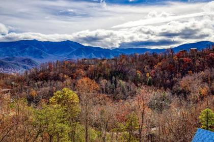 A Million Dollar View- Get 56530 worth of FREE area attraction tickets for each paid day! - image 23