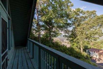 A Bear's View - image 17