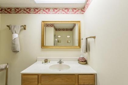 A Bear's View - image 22