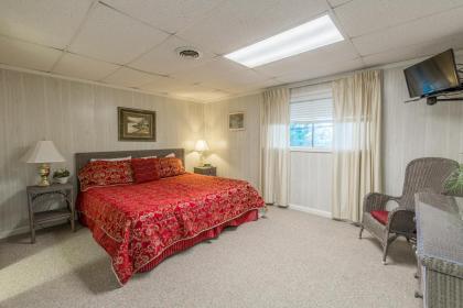 A Bear's View - image 24