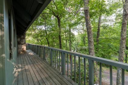 A Bear's View - image 5