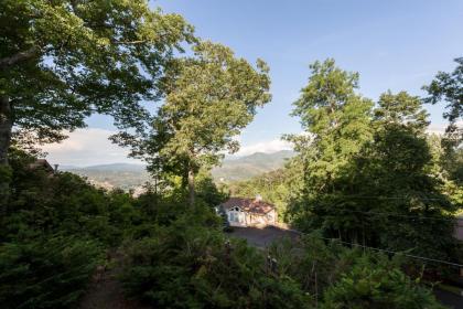 A Bear's View - image 9