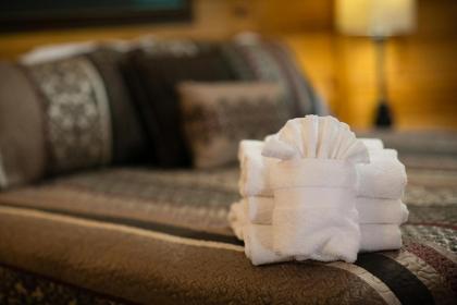 Hugs N Kisses Pool Table Hot Tub Pool Table Community Pool Close to Downtown Gatlinburg - image 30