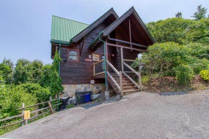 City View Chalet - image 2
