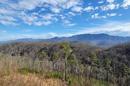 3 Bears Chalet - image 29