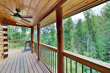 Mountain Wolf's Cabin - image 5